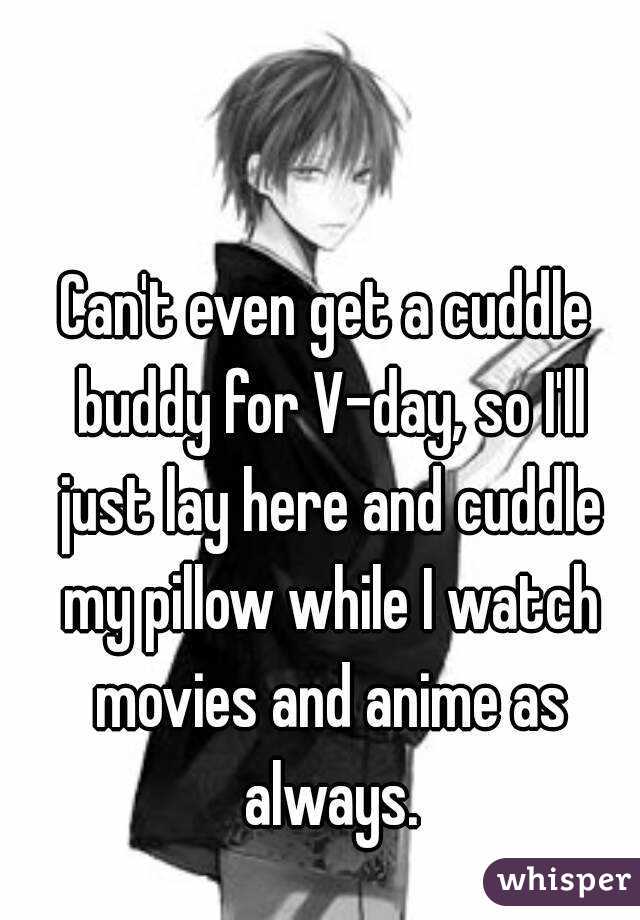 Can't even get a cuddle buddy for V-day, so I'll just lay here and cuddle my pillow while I watch movies and anime as always.