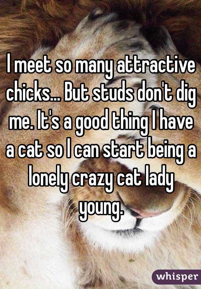 I meet so many attractive chicks... But studs don't dig me. It's a good thing I have a cat so I can start being a lonely crazy cat lady young.