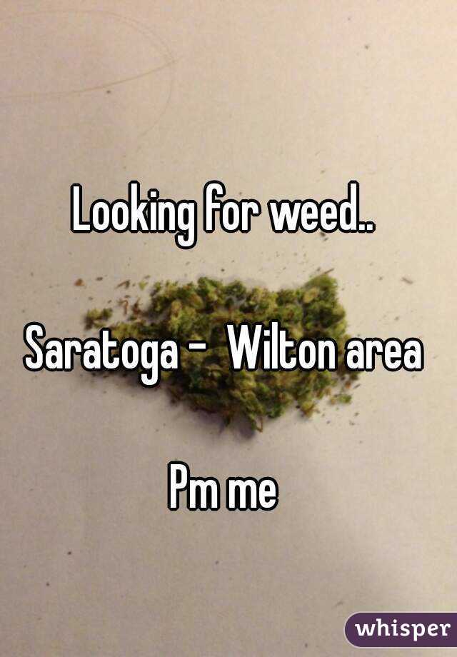 Looking for weed.. 

Saratoga -  Wilton area 

Pm me 