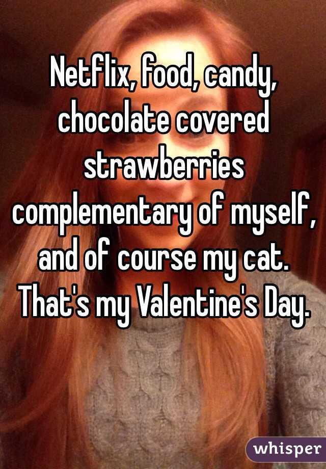 Netflix, food, candy, chocolate covered strawberries complementary of myself, and of course my cat. That's my Valentine's Day. 
