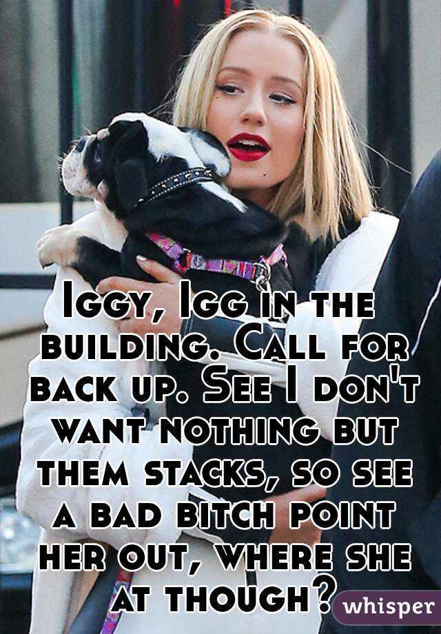 Iggy, Igg in the building. Call for back up. See I don't want nothing but them stacks, so see a bad bitch point her out, where she at though?