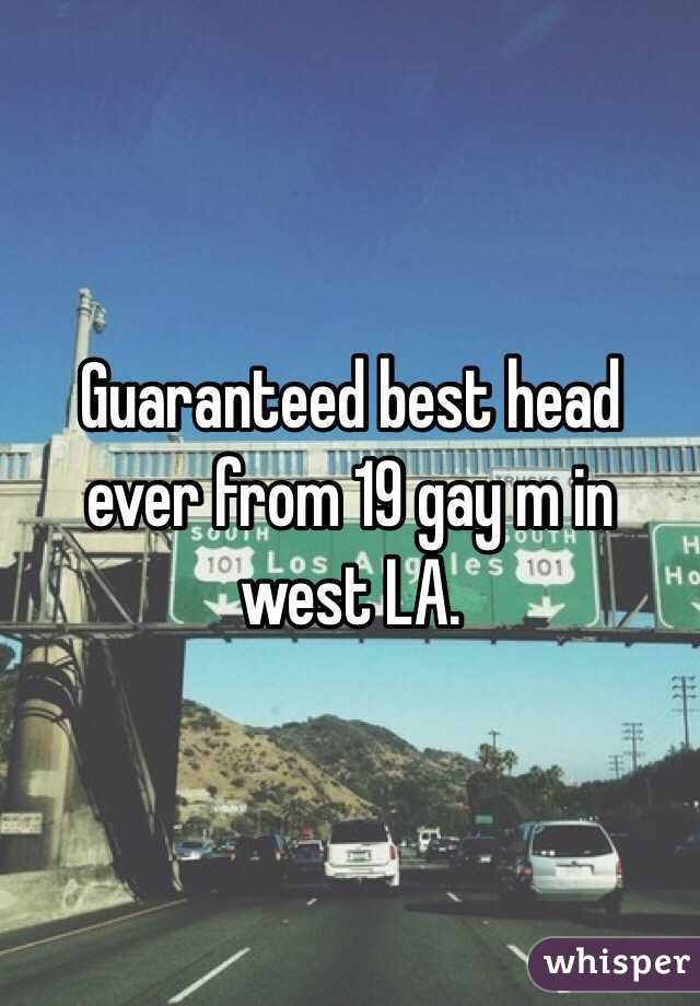 Guaranteed best head ever from 19 gay m in west LA. 