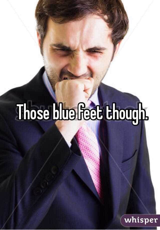 Those blue feet though. 