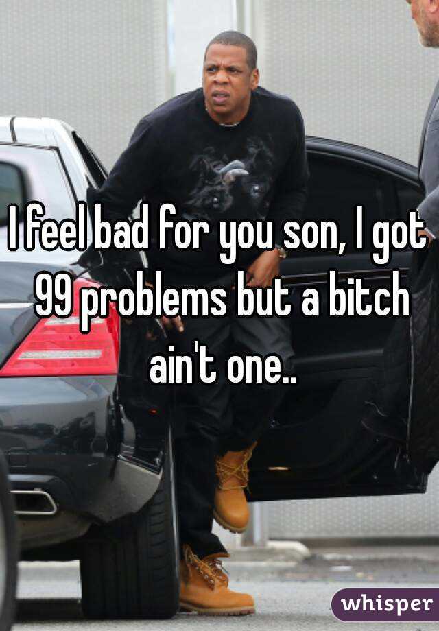 I feel bad for you son, I got 99 problems but a bitch ain't one..