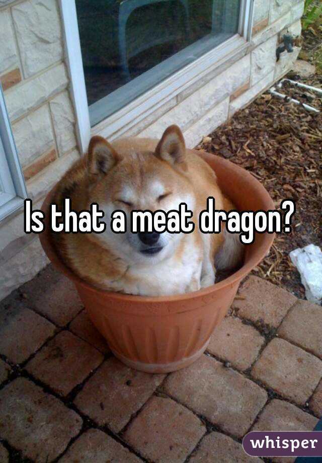 Is that a meat dragon?