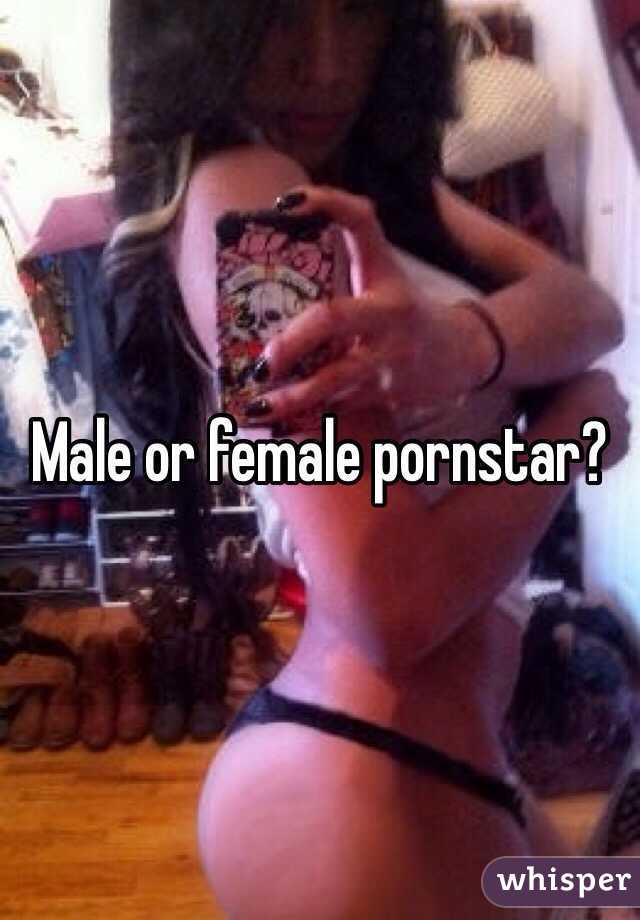 Male or female pornstar?