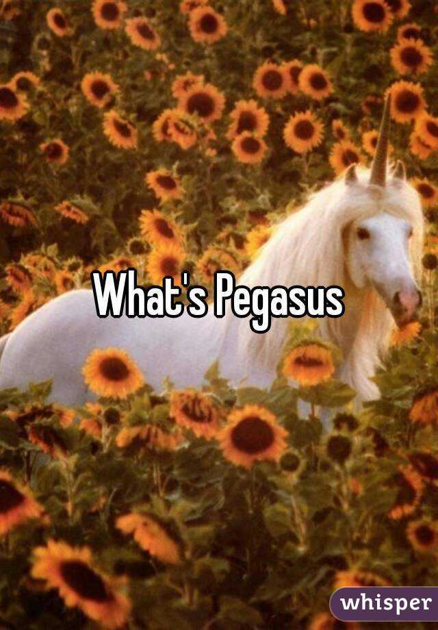 What's Pegasus