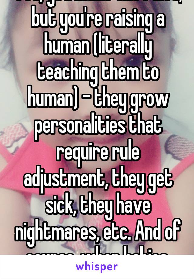 Yes, you make the rules, but you're raising a human (literally teaching them to human) - they grow personalities that require rule adjustment, they get sick, they have nightmares, etc. And of course, when babies, there are no rules.