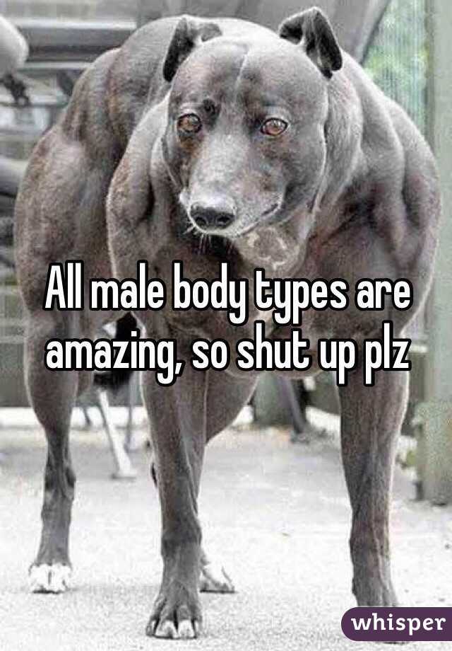 All male body types are amazing, so shut up plz 