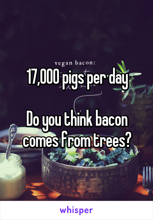 17,000 pigs per day

Do you think bacon comes from trees?