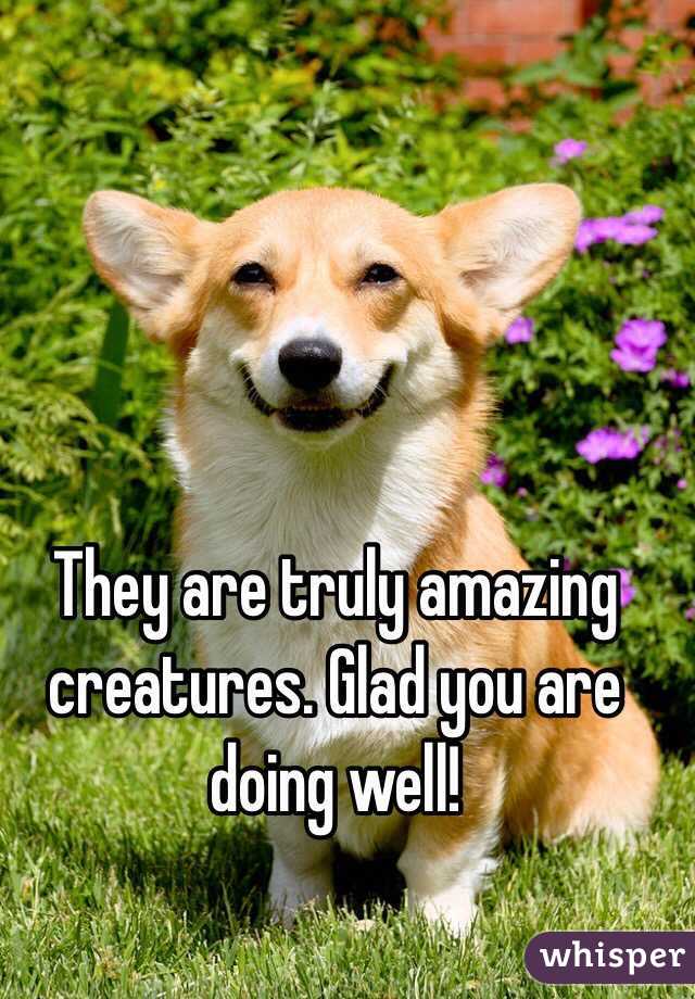 They are truly amazing creatures. Glad you are doing well!