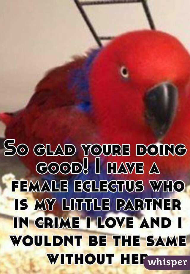 So glad youre doing good! I have a female eclectus who is my little partner in crime i love and i wouldnt be the same without her