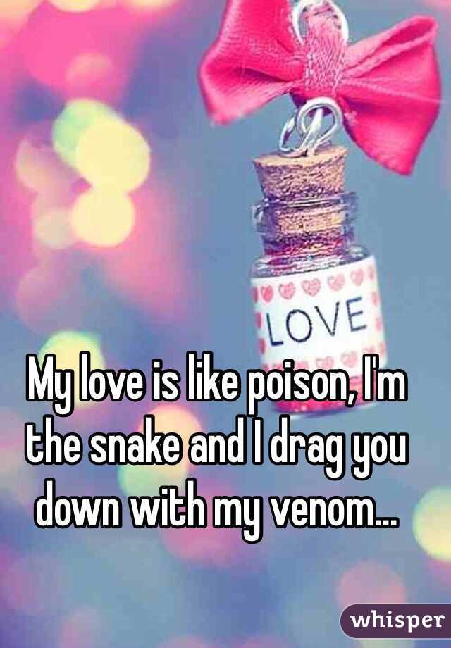 My love is like poison, I'm the snake and I drag you down with my venom...