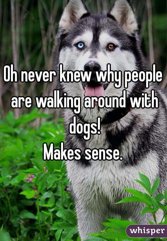 Oh never knew why people are walking around with dogs!
Makes sense.