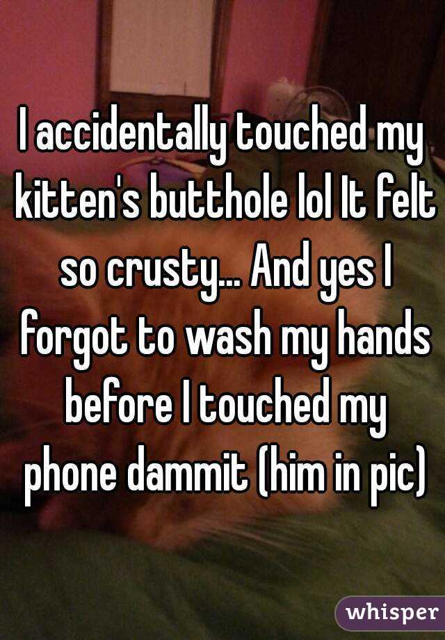 I accidentally touched my kitten's butthole lol It felt so crusty... And yes I forgot to wash my hands before I touched my phone dammit (him in pic)