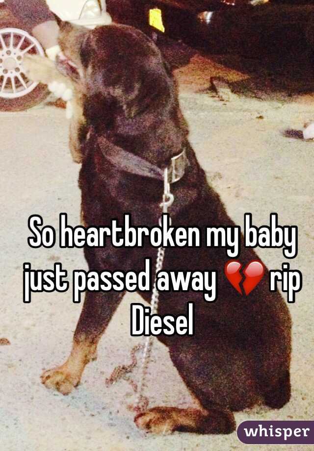 So heartbroken my baby just passed away 💔 rip Diesel 