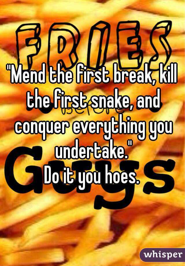"Mend the first break, kill the first snake, and conquer everything you undertake."
Do it you hoes.