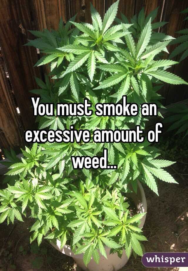 You must smoke an excessive amount of weed...