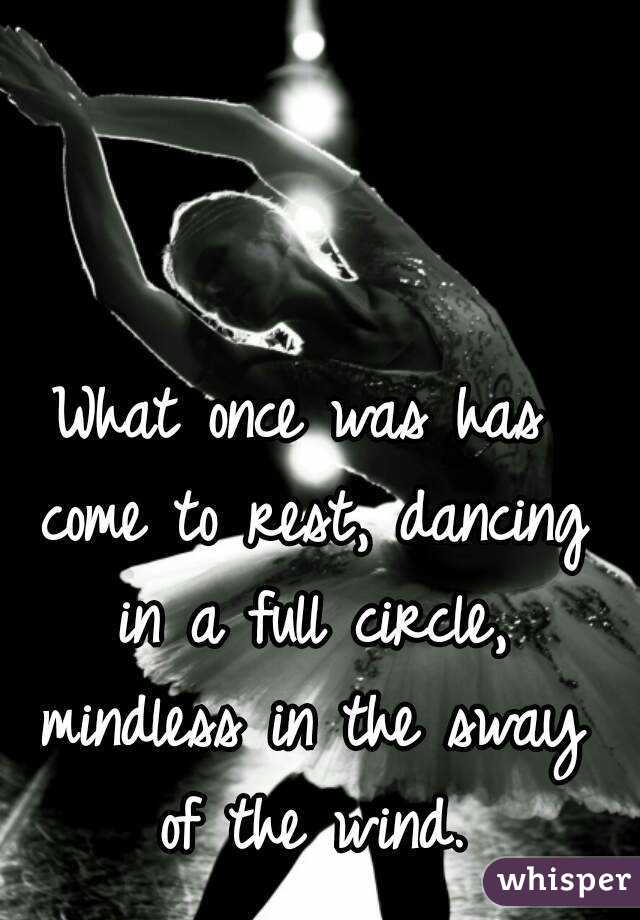 What once was has come to rest, dancing in a full circle, mindless in the sway of the wind.
