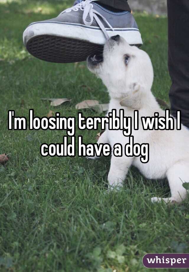 I'm loosing terribly I wish I could have a dog 