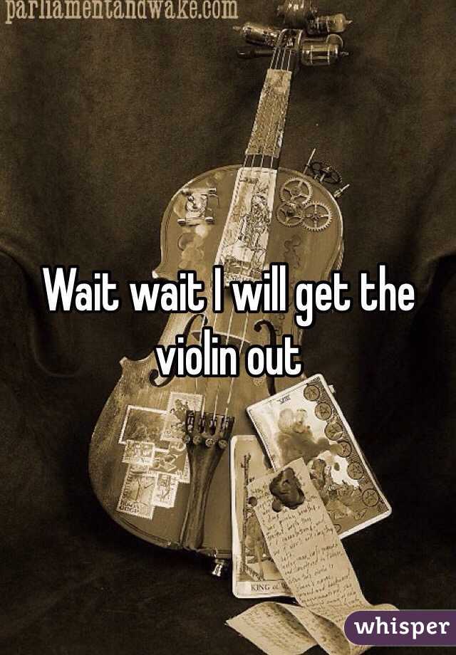 Wait wait I will get the violin out 