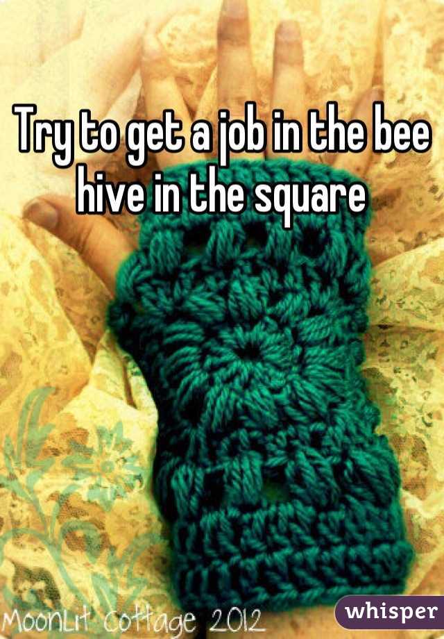 Try to get a job in the bee hive in the square