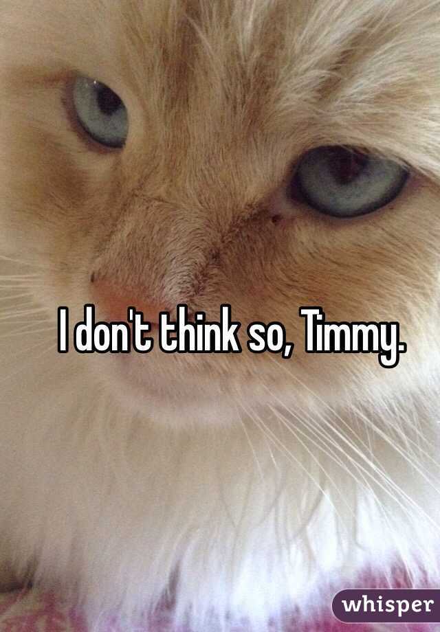 I don't think so, Timmy.