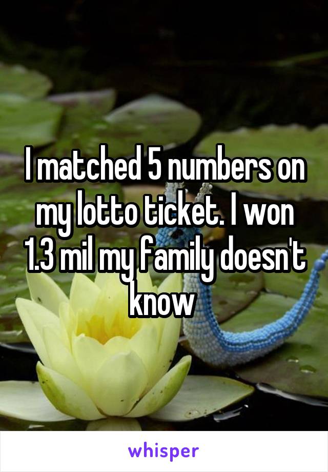I matched 5 numbers on my lotto ticket. I won 1.3 mil my family doesn't know 