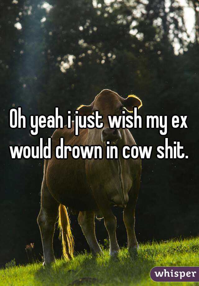 Oh yeah i just wish my ex would drown in cow shit. 