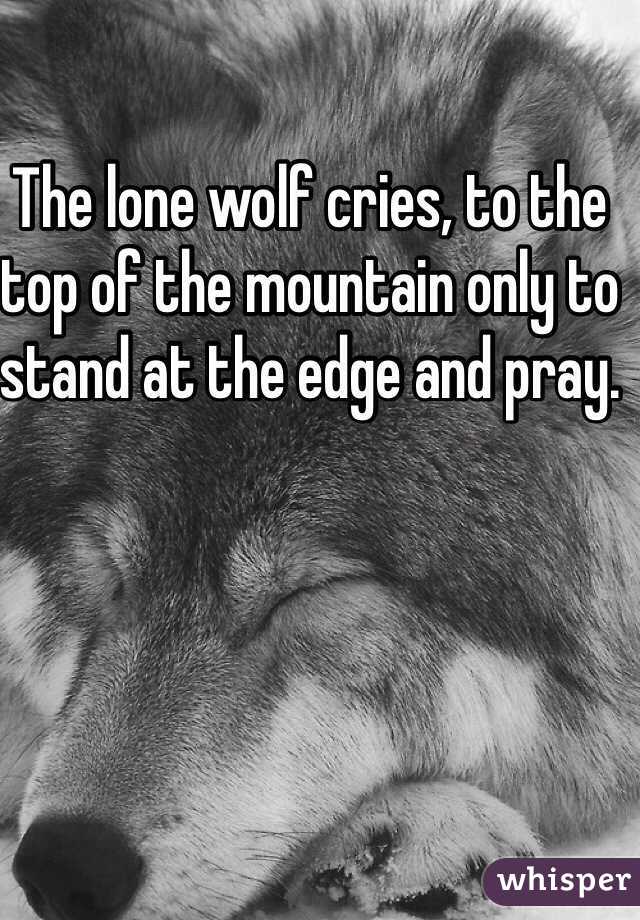 The lone wolf cries, to the top of the mountain only to stand at the edge and pray.