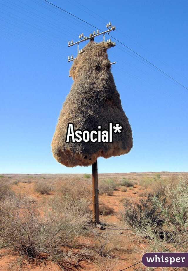 Asocial*