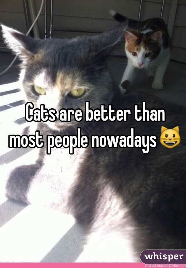 Cats are better than most people nowadays😺
