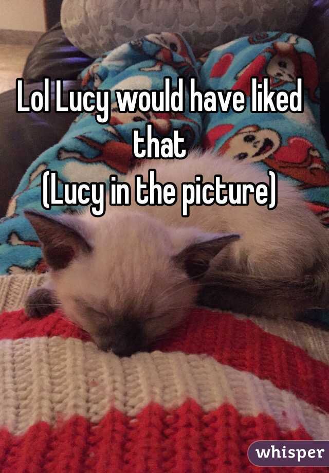 Lol Lucy would have liked that
(Lucy in the picture)