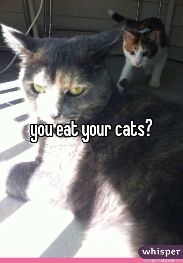 you eat your cats?