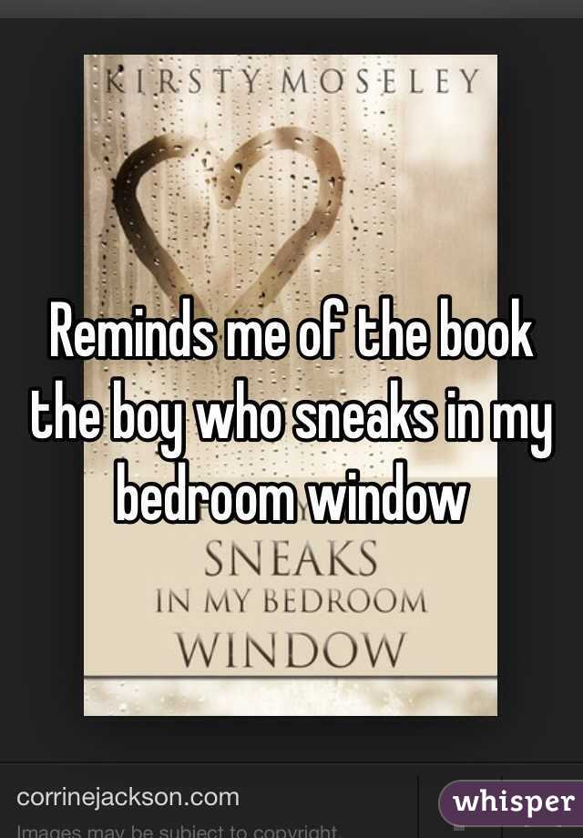 Reminds me of the book the boy who sneaks in my bedroom window 
