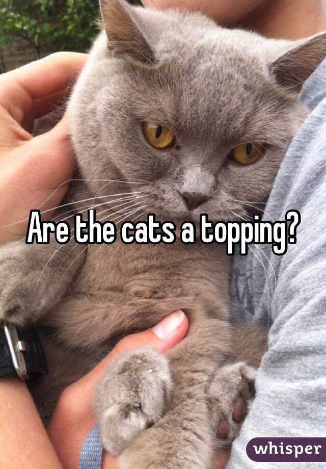 Are the cats a topping?
