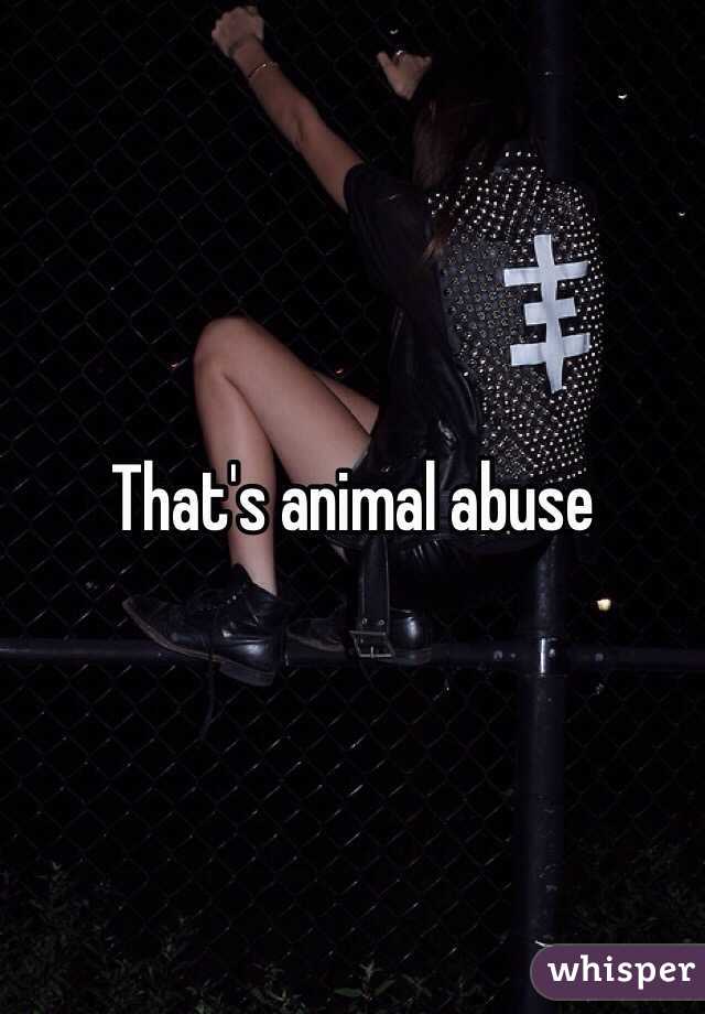That's animal abuse 