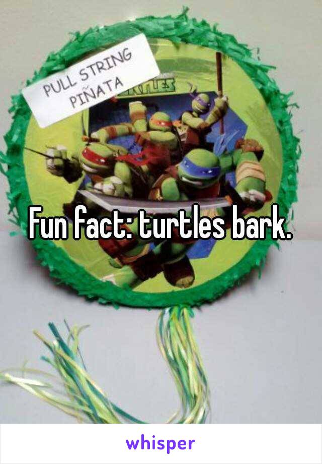 Fun fact: turtles bark.
