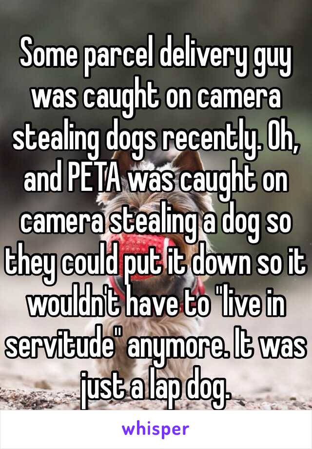 Some parcel delivery guy was caught on camera stealing dogs recently. Oh, and PETA was caught on camera stealing a dog so they could put it down so it wouldn't have to "live in servitude" anymore. It was just a lap dog.