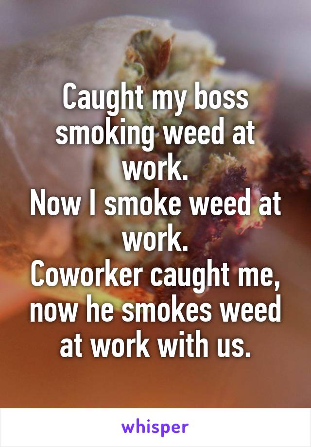 Caught my boss smoking weed at work.
Now I smoke weed at work.
Coworker caught me, now he smokes weed at work with us.