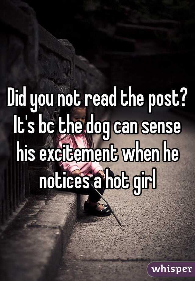 Did you not read the post? It's bc the dog can sense his excitement when he notices a hot girl