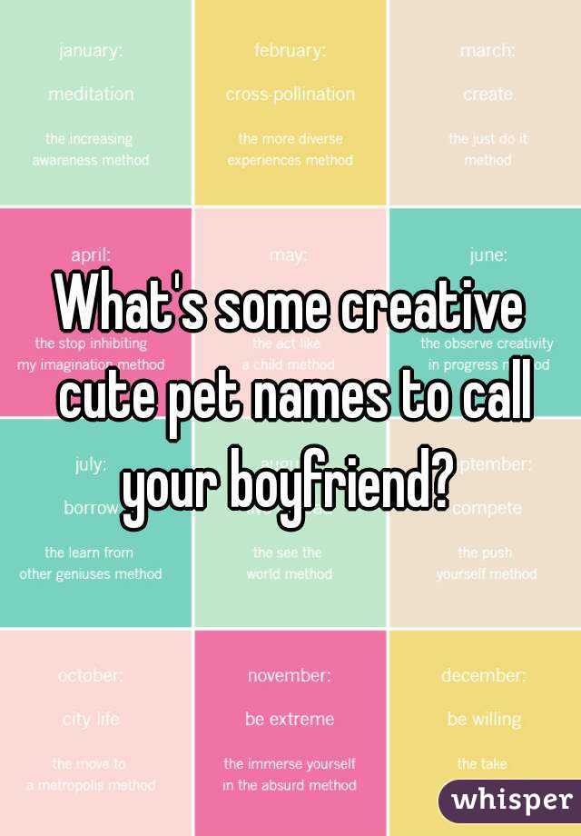 What's some creative cute pet names to call your boyfriend? 