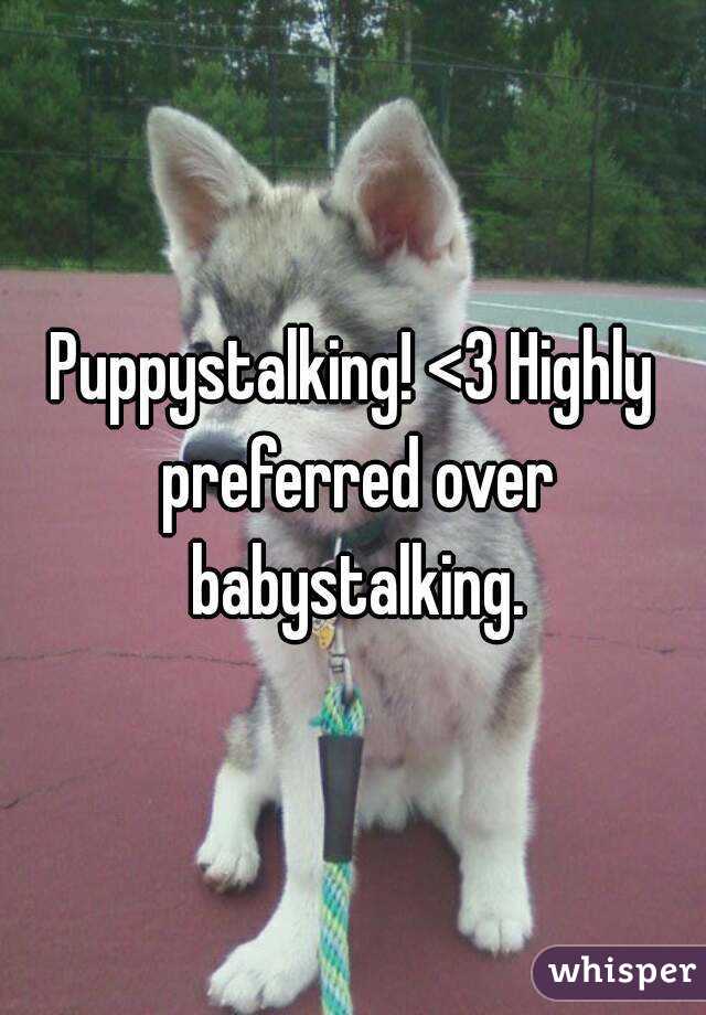Puppystalking! <3 Highly preferred over babystalking.