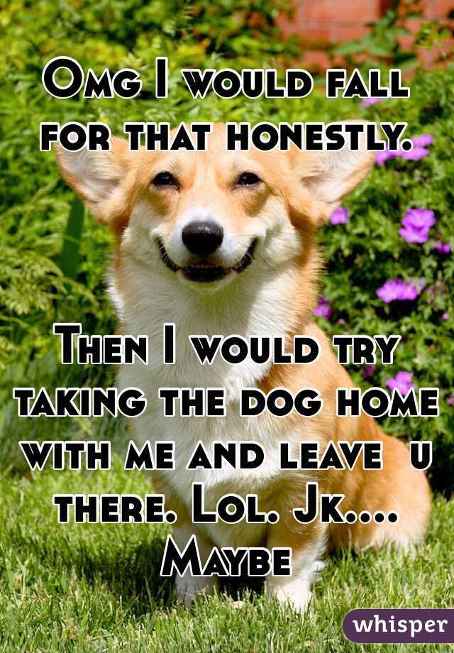 Omg I would fall for that honestly.



Then I would try taking the dog home with me and leave  u there. Lol. Jk.... Maybe