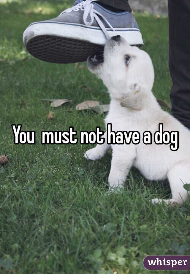 You  must not have a dog