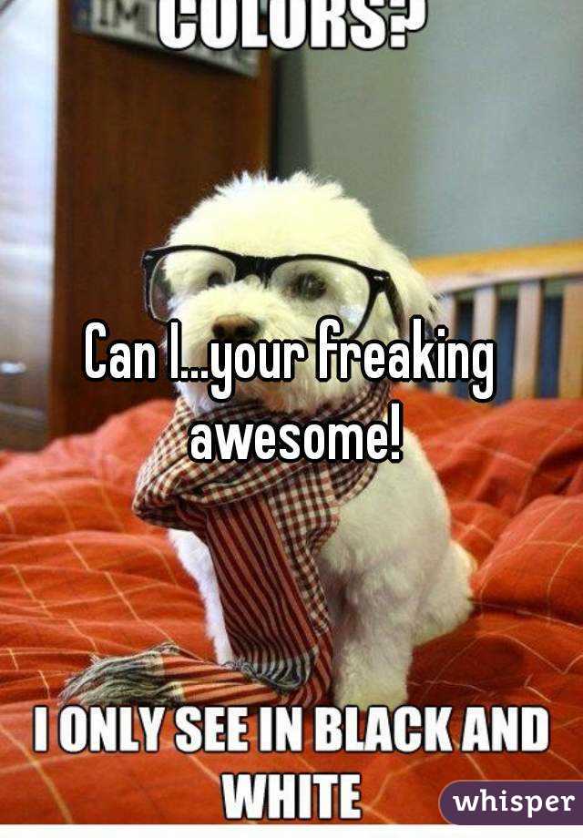 Can I...your freaking awesome!