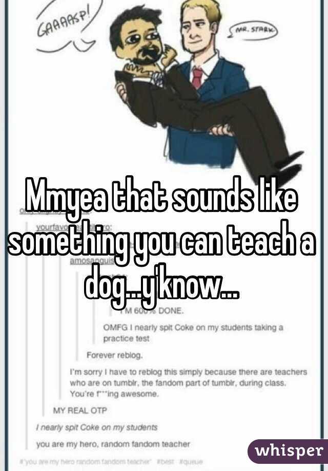 Mmyea that sounds like something you can teach a dog...y'know...