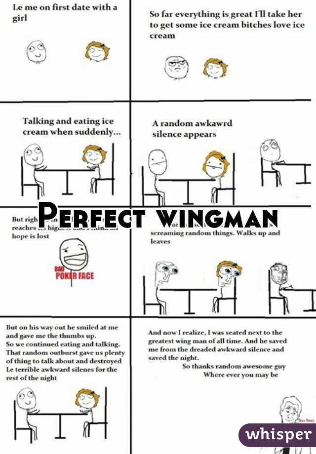 Perfect wingman