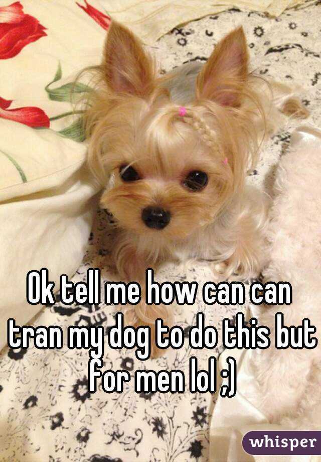 Ok tell me how can can tran my dog to do this but for men lol ;)