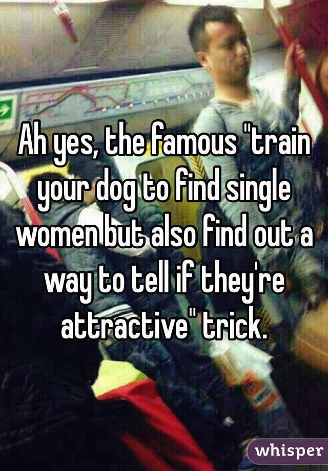 Ah yes, the famous "train your dog to find single women but also find out a way to tell if they're attractive" trick. 